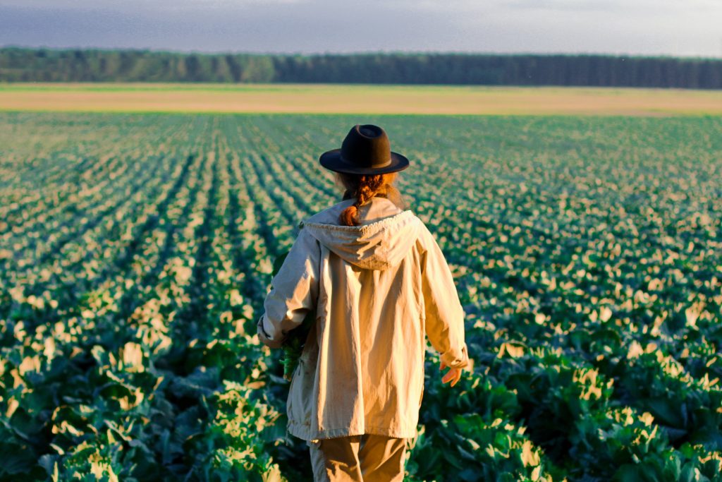 AdobeStock 500769068